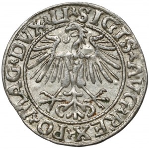 Zygmunt II August, Półgrosz Wilno 1548 - arabska