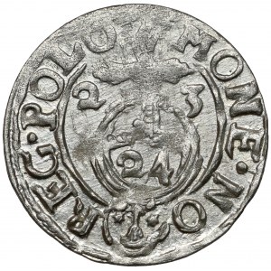 Zygmunt III Waza, Półtorak Bydgoszcz 1623 - niepełna tarcza - rzadki