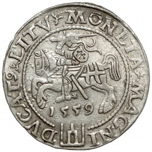 Zygmunt II August, Grosz na stopę litewską 1559 - ŁADNY
