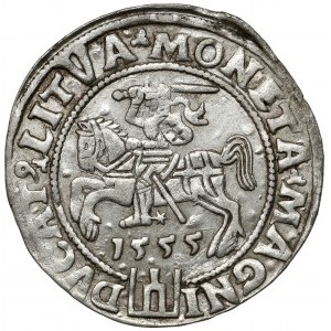 Zygmunt II August, Grosz na stopę litewską 1555 - bardzo ładny