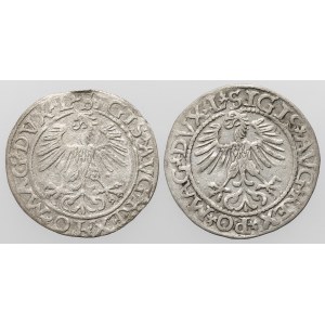 Zygmunt II August, Półgrosz Wilno 1560-1561 (2szt)