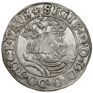 Zygmunt I Stary, Grosz Toruń 1531 - duża głowa