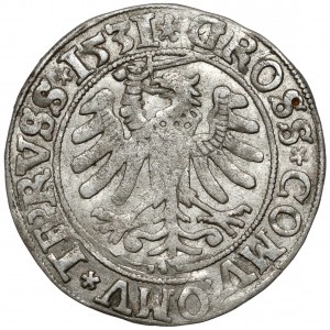 Zygmunt I Stary, Grosz Toruń 1531 - duża głowa