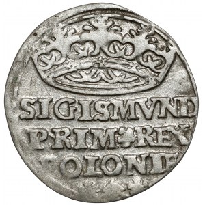 Zygmunt I Stary, Grosz Kraków 1528 - rozetki