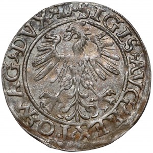 Zygmunt II August, Półgrosz Wilno 1560 - LITV - ex. Kałkowski