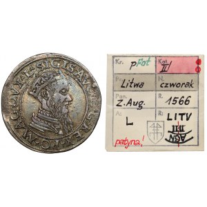 Zygmunt II August, Czworak Wilno 1565 - L/LITV - ex. Kałkowski