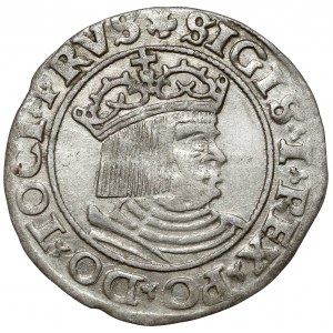 Zygmunt I Stary, Grosz Toruń 1530 - miecz w lewo