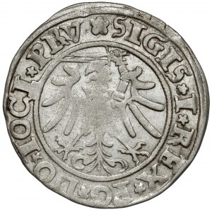 Zygmunt I Stary, Grosz Elbląg 1534 - PRV