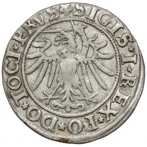 Zygmunt I Stary, Grosz Elbląg 1534 - ELBINGK