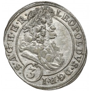 Śląsk, Leopold I, 3 krajcary 1695 MMW, Wrocław