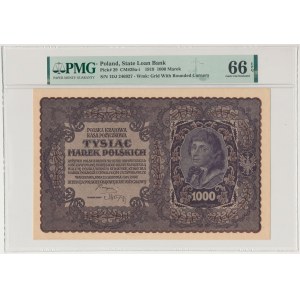 1.000 mkp 1919 - I Serja DJ (Mił.29b)