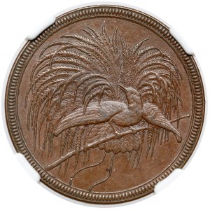 German New Guinea / Papua New Guinea, 10 pfennig 1894-A