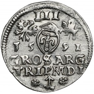 Zygmunt III Waza, Trojak Wilno 1591 - rozety