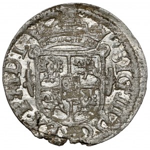 Zygmunt III Waza, Półtorak Wilno 1619 - bez Wadwicza - rzadkość