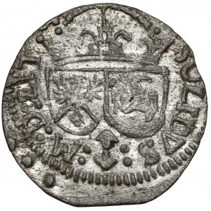 Zygmunt III Waza, Szeląg Wilno 1616 - koniczyna
