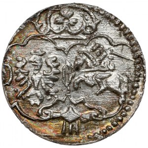 Zygmunt III Waza, Denar Łobżenica 1623