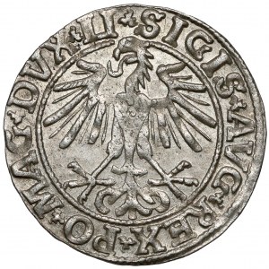 Zygmunt II August, Półgrosz Wilno 1550