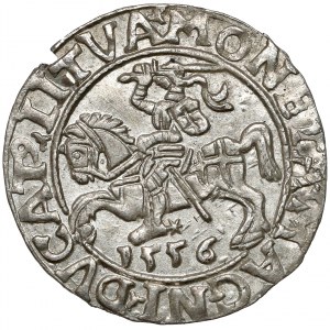 Zygmunt II August, Półgrosz Wilno 1556