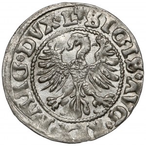 Zygmunt II August, Półgrosz Wilno 1546 - wczesny typ - piękny