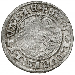 Zygmunt I Stary, Półgrosz Wilno 1518 - błąd 158 - b.rzadki