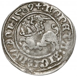 Zygmunt I Stary, Półgrosz Wilno 1509