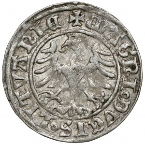 Zygmunt I Stary, Półgrosz Wilno 1509 - z pochwą