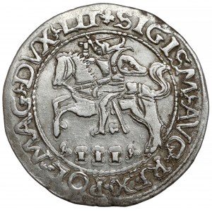 Zygmunt II August, Trojak Tykocin 1565 - Szyderczy