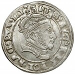 Zygmunt II August, Grosz na stopę litewską 1546, Wilno - błąd MONTA
