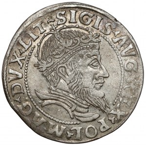 Zygmunt II August, Grosz na stopę litewską 1555, Wilno - piękny