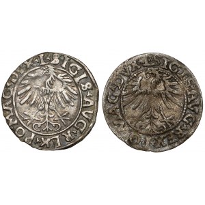 Zygmunt II August, Półgrosze Wilno 1556 i 1563, zestaw (2szt)
