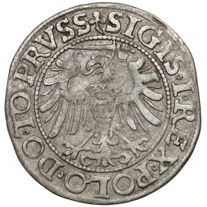 Zygmunt I Stary, Grosz Elbląg 1539 - miecz w lewo