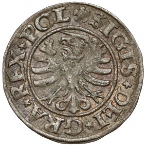 Zygmunt I Stary, Szeląg Gdańsk 1530