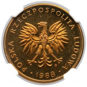 5 złotych 1988 - LUSTRZANKA