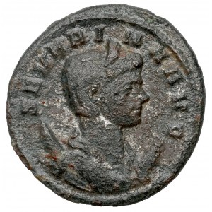 Seweryna (270-275 n.e.) Antoninian