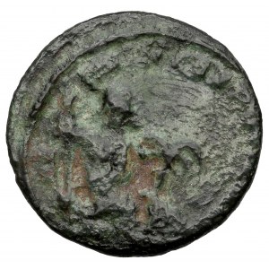 Hannibalianus (335-337 n.e.) Follis, Konstantynopol - Rzadkość