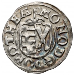 Quedlinburg, Abtei, Dorothea Sophie, 1/24 taler 1617