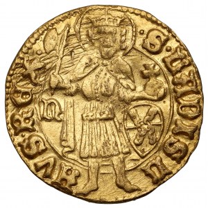 Hungary, John Hunyadi (1446-53), Goldgulden Nagybanya (1446-1447) - RARE