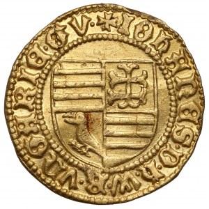 Hungary, John Hunyadi (1446-53), Goldgulden Nagybanya (1446-1447) - RARE