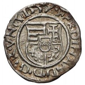 Hungary, Ferdinand I (1526-1564) Denar 1557 KB