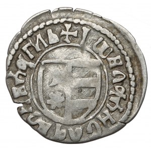 Rumunia, Hospodarstwo Wołowskie, Władysław II (1447–1456) Dinar