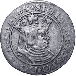 Zygmunt I Stary, grosz 1528, Toruń, POIDO - DUŻA RZADKOŚĆ