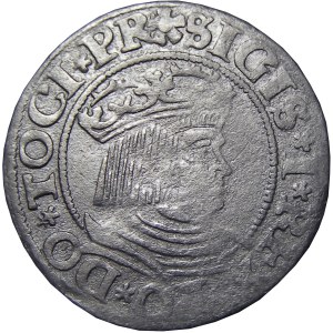 Zygmunt I Stary, grosz 1531, Gdańsk, ..PR