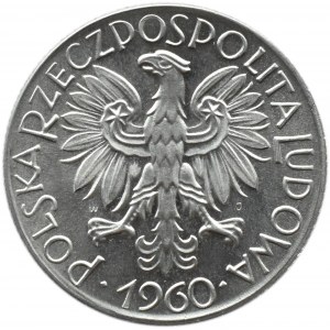 Polska, PRL, Rybak, 5 złotych 1960, wspaniały egzemplarz, UNC