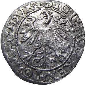 Zygmunt II August, półgrosz 1560, Wilno, PIĘKNY