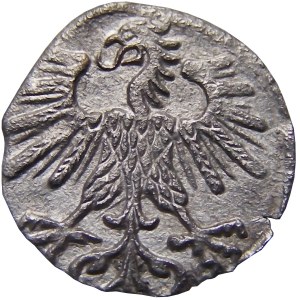 Zygmunt II August, denar 1560, Wilno, PIĘKNY