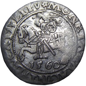 Zygmunt II August, półgrosz 1560, ROZETA NA REWERSIE DVXL, Wilno