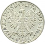 Polska, II RP, Żaglówka, 5 złotych 1936, Warszawa