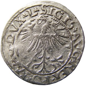 Zygmunt II August, półgrosz 1563, Wilno, NIENOTOWANY