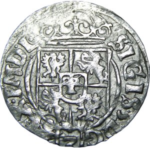 Zygmunt III Waza, półtorak 1626 półkozic POL, Bydgoszcz, CIEKAWY