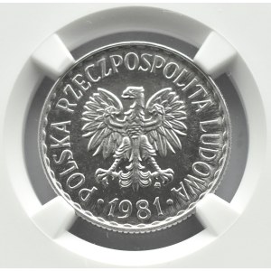 Polska, PRL, 1 złoty 1981, IDEALNE, NGC MS64PL